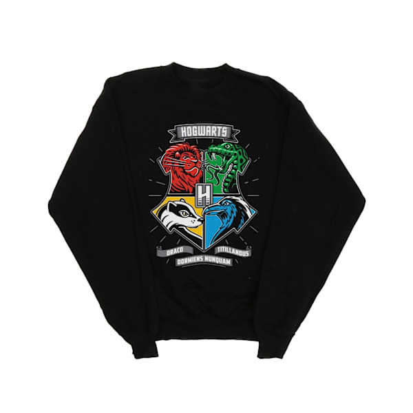 Harry Potter Boys Hogwarts Toon Crest Sweatshirt 3-4 år Svart Black 3-4 Years