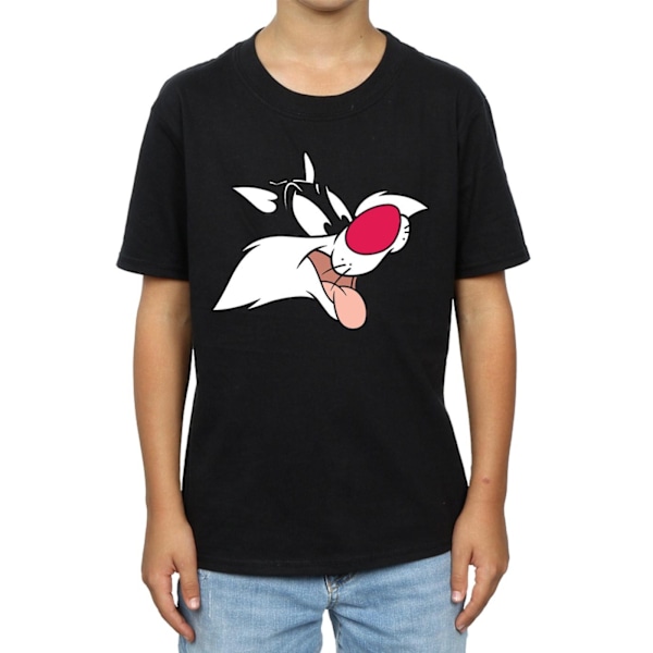 Looney Tunes Boys Sylvester Bomull T-shirt 9-11 år Svart Black 9-11 Years