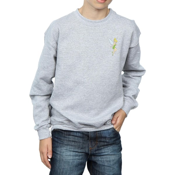 Disney Boys Tinkerbell Chest Sweatshirt 9-11 år Sports Grey Sports Grey 9-11 Years
