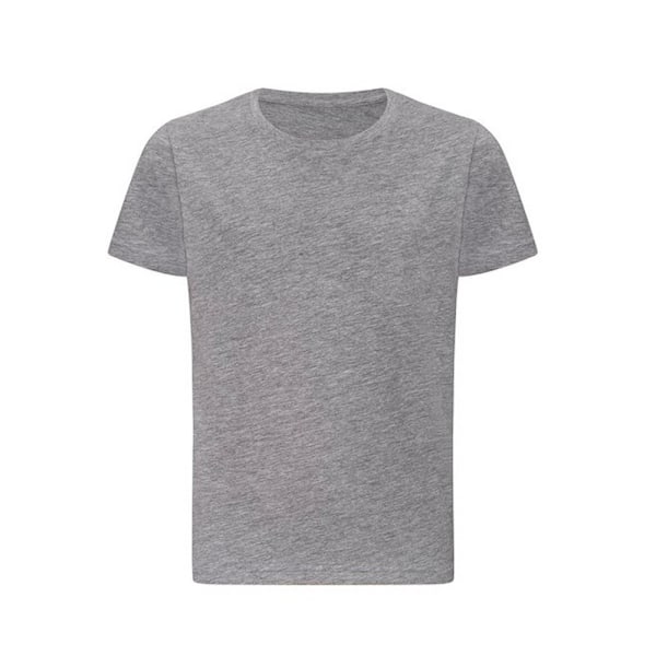 Awdis Barn/Barn Just Ts The 100 T-Shirt XS Heather Grey Heather Grey XS