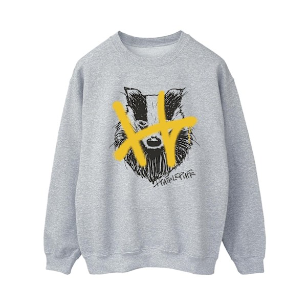 Harry Potter Dam/Kvinnor Hufflepuff Pop Spray Sweatshirt XXL Sports Grey XXL