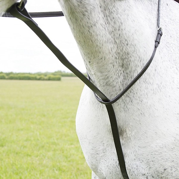 Blenheim Läder Häst Stående Martingal Cob Svart Black Cob