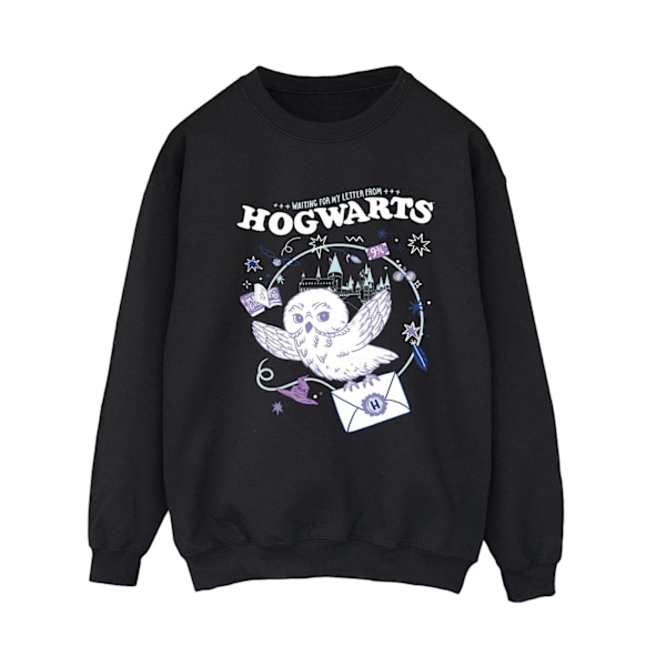 Harry Potter Dam/Kvinna Uggla Brev Från Hogwarts Sweatshirt Black L