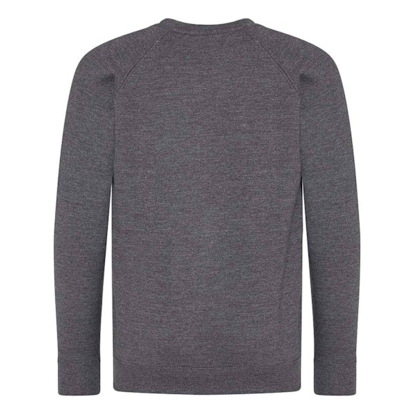 AWDis Academy Barn/Barn Crew Neck Raglan Skolsweatshirt Charcoal 5-6 Years