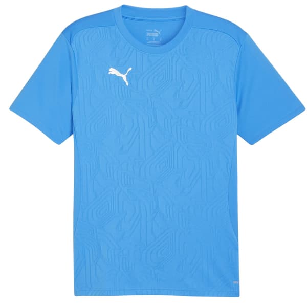 Puma Herr TeamFinal Tränings T-shirt M Blå/Silver Blue/Silver M