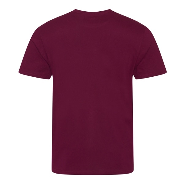 Ecologie Mens Organic Cascades T-Shirt XL Burgundy Burgundy XL