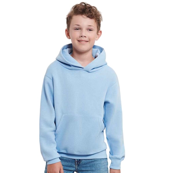 Jerzees Schoolgear Barn/Barn Hoodie 11-12 År Himmelblå Sky Blue 11-12 Years