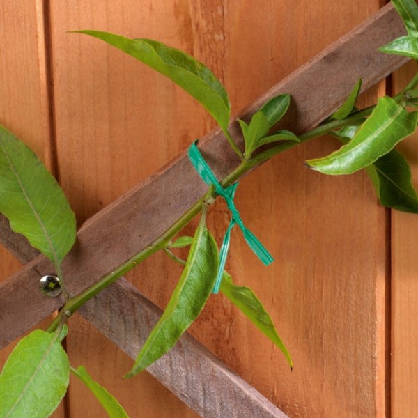Ambassador Garden Wire Twists (100-pack) One Size Green Green One Size