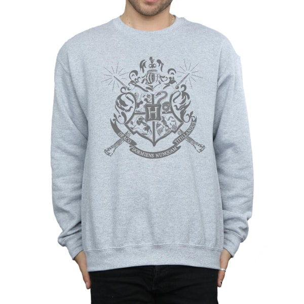 Harry Potter Herr Hogwarts Badge Wands Sweatshirt 3XL Sports Grå Sports Grey 3XL