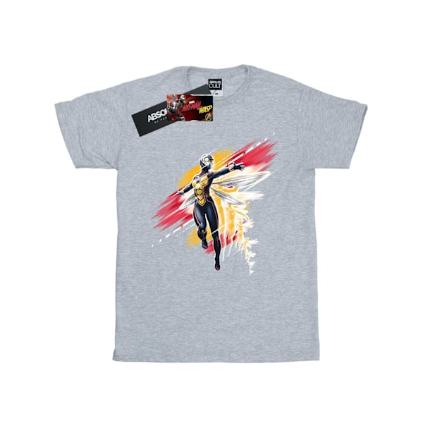 Marvel Boys Ant-Man And The Wasp Hope Borstad T-shirt 12-13 år Sports Grey 12-13 Years