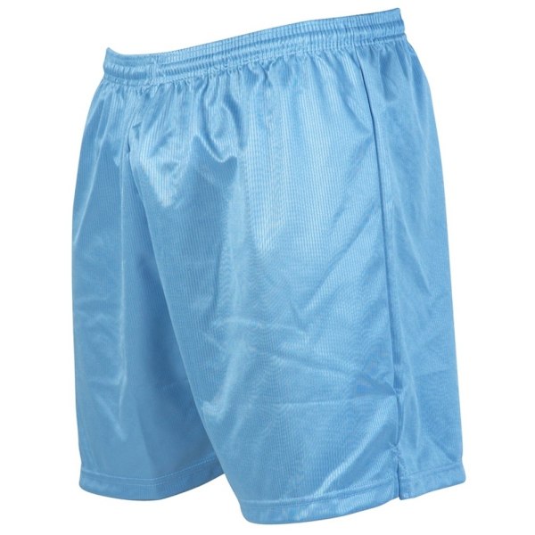 Precision Unisex Vuxen Micro-Stripe Fotbollsshorts XXL Sky Blu Sky Blue XXL