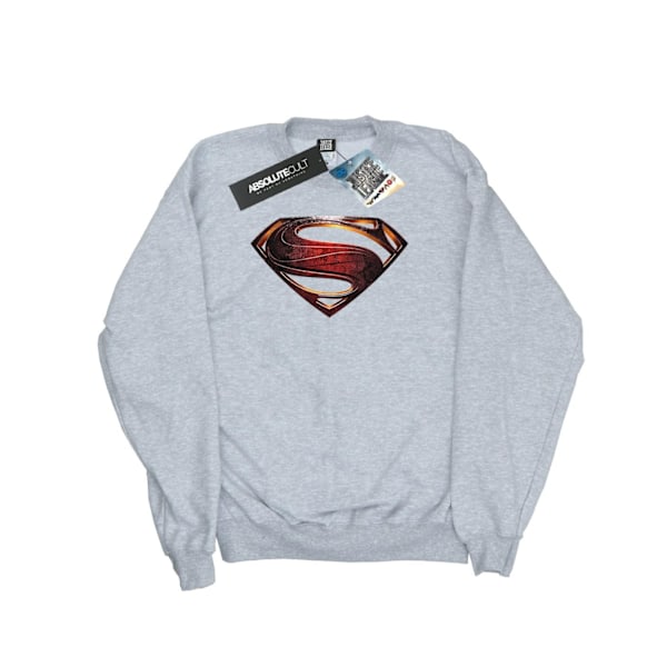 DC Comics Justice League Movie Superman Emblem Sweatshirt för män Sports Grey S