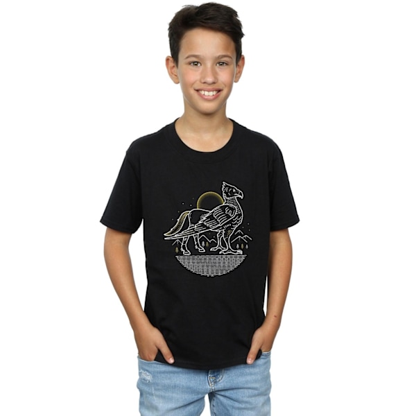 Harry Potter Boys Buckbeak Line Art T-shirt 12-13 år Svart Black 12-13 Years