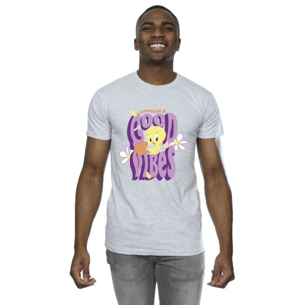 Looney Tunes Mens Tweeday Sunshine & Good Vibes T-shirt 5XL Spo Sports Grey 5XL