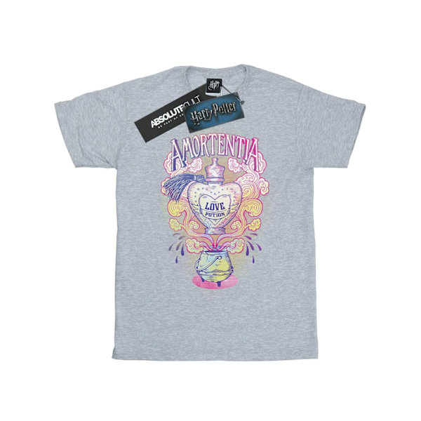 Harry Potter Love Potion T-shirt XXL Sports Grey för män Sports Grey XXL