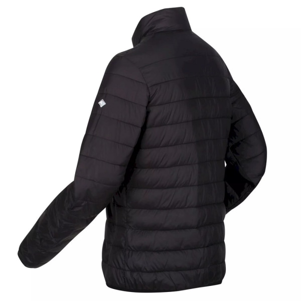 Regatta Dam/Kvinnor Hillpack Vadderad Jacka 8 UK Svart Black 8 UK