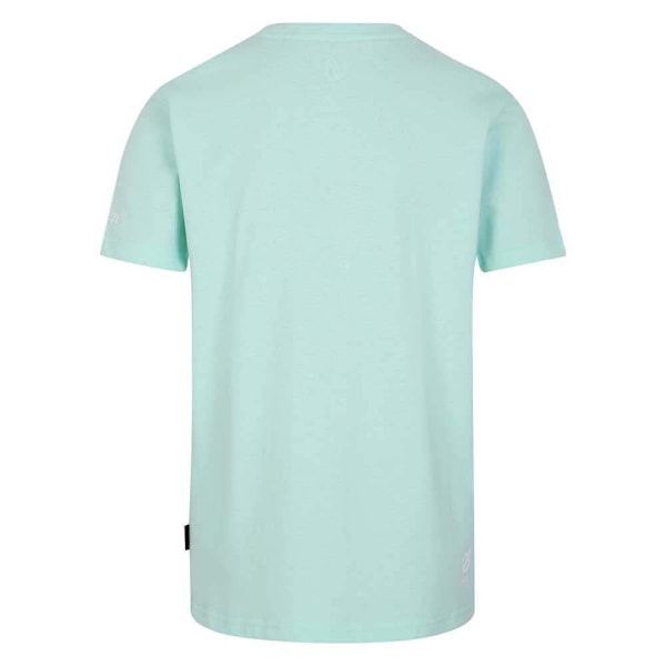 Dare 2B Barn/Barn Trailblazer II Tiger T-shirt 9-10 år Mint Green 9-10 Years