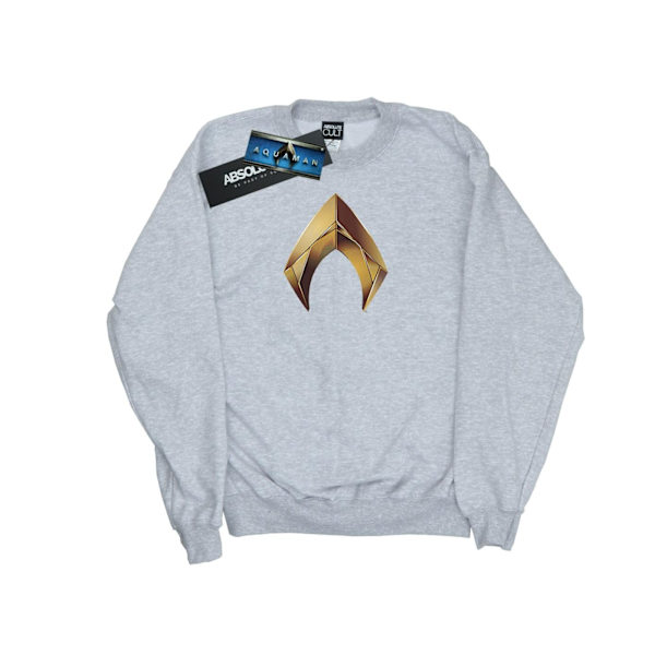 DC Comics Herr Aquaman Emblem Sweatshirt M Sports Grey Sports Grey M
