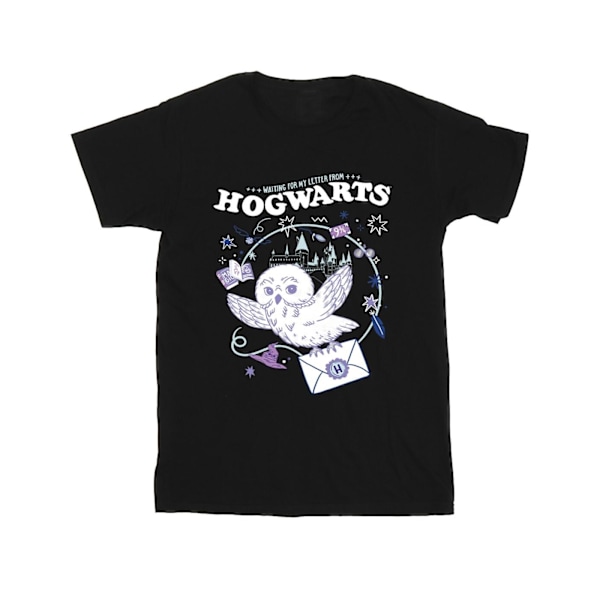 Harry Potter T-shirt för män med uggla och brev från Hogwarts, 4XL, svart Black 4XL