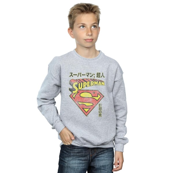 DC Comics Pojkar Superman Shield Sweatshirt 5-6 År Sports Grey Sports Grey 5-6 Years