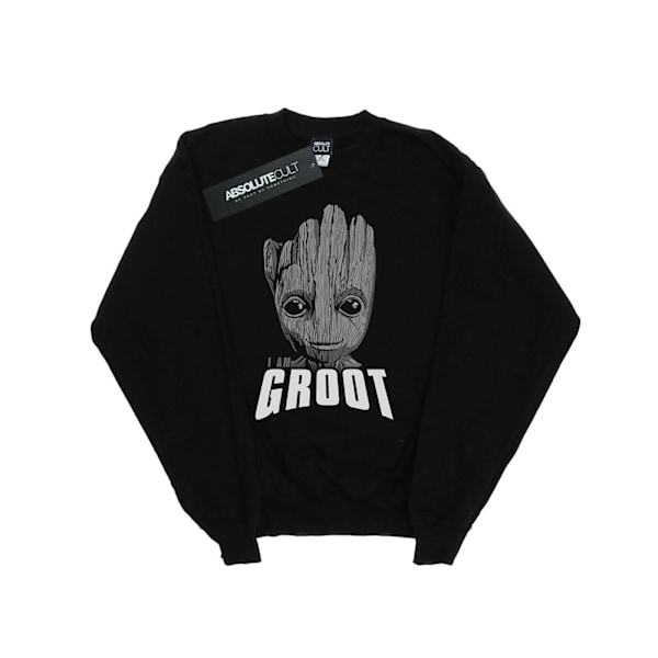 Marvel Dam/Kvinnor Guardians Of The Galaxy Groot Ansikte Sweatshirt Black M