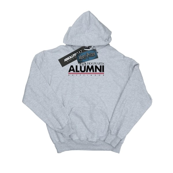Harry Potter Girls Hogwarts Alumni Gryffindor Hoodie 12-13 år Sports Grey 12-13 Years