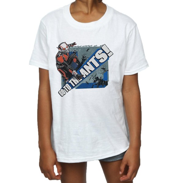 Marvel Girls Ant-Man Go To The Ants Bomull T-shirt 12-13 år White 12-13 Years