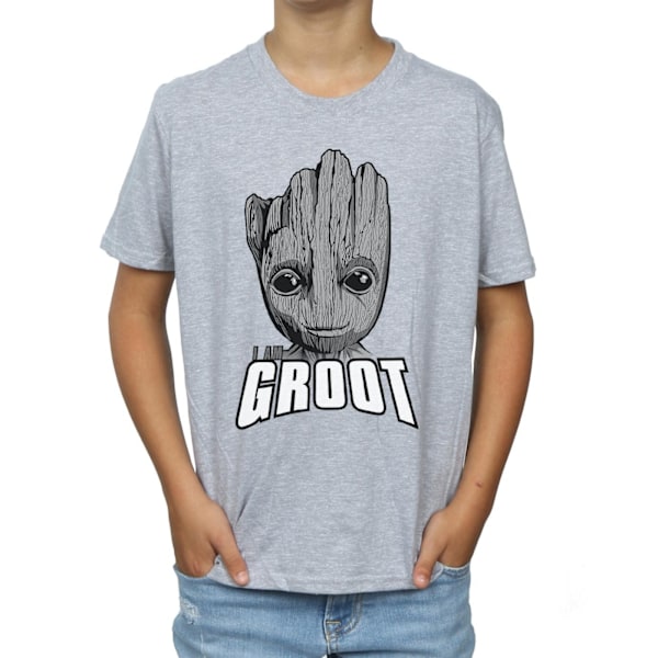 Marvel Boys Guardians Of The Galaxy Groot Face T-Shirt 12-13 år Sports Grey 12-13 Years