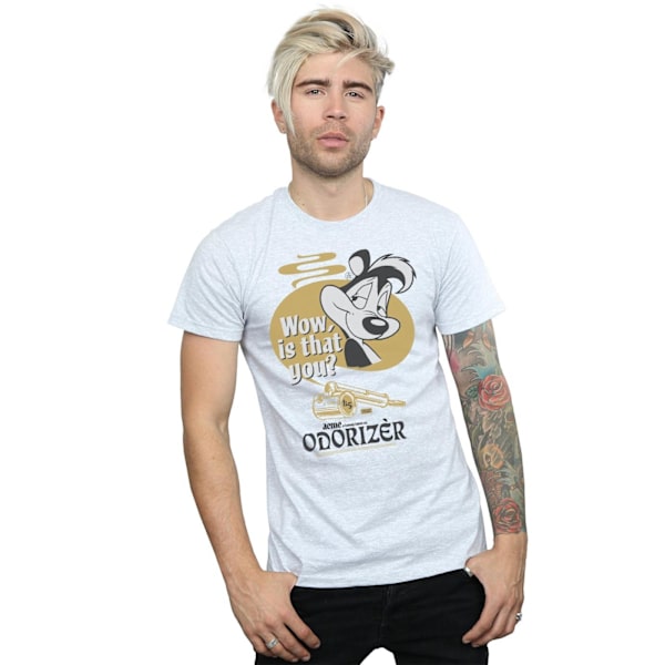 Looney Tunes Mens Odorizer Pepe Le Pew Bomull T-shirt S Sports Sports Grey S