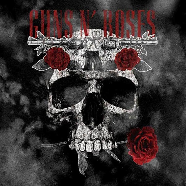 Guns N Roses Barn/Barn Blommig Dödskalle T-shirt 1-2 År Grå Grey 1-2 Years