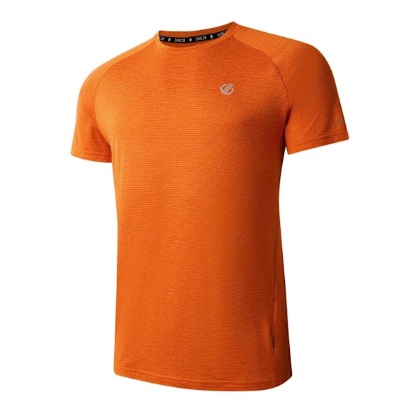 Dare 2B Herr Persist Marl T-Shirt XS Spicy Route Spicy Route XS