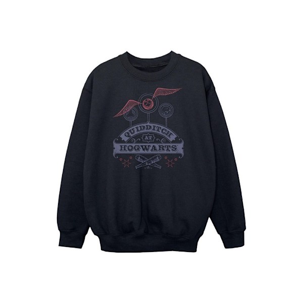 Harry Potter Quidditch på Hogwarts Sweatshirt för pojkar 9-11 år B Black 9-11 Years