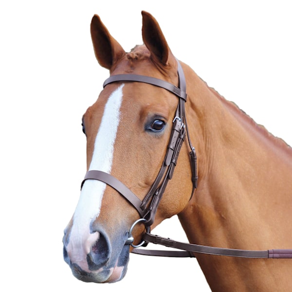 Aviemore Plain Läder Hästgrimma Liten Ponny Havana Havana Small Pony
