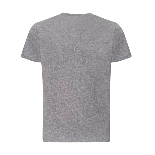 Awdis Barn/Barn Just Ts The 100 T-shirt S Heather Grey Heather Grey S