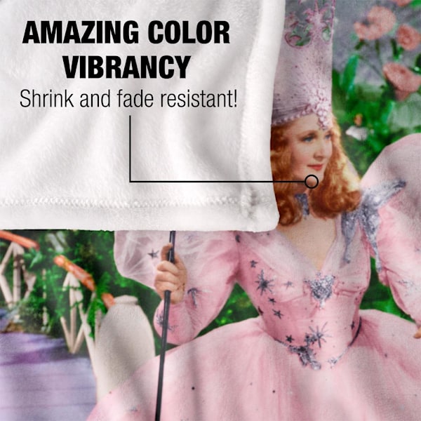 Trollkarlen från Oz Scen Dorothy Filt En Storlek Flerfärgad Multicoloured One Size