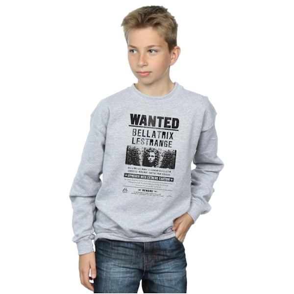 Harry Potter Boys Bellatrix Lestrange Wanted Sweatshirt 5-6 år Sports Grey 5-6 Years