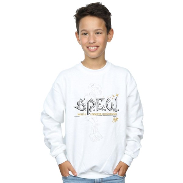 Harry Potter Boys Dobby Elfish Welfare Sweatshirt 5-6 år Vit White 5-6 Years