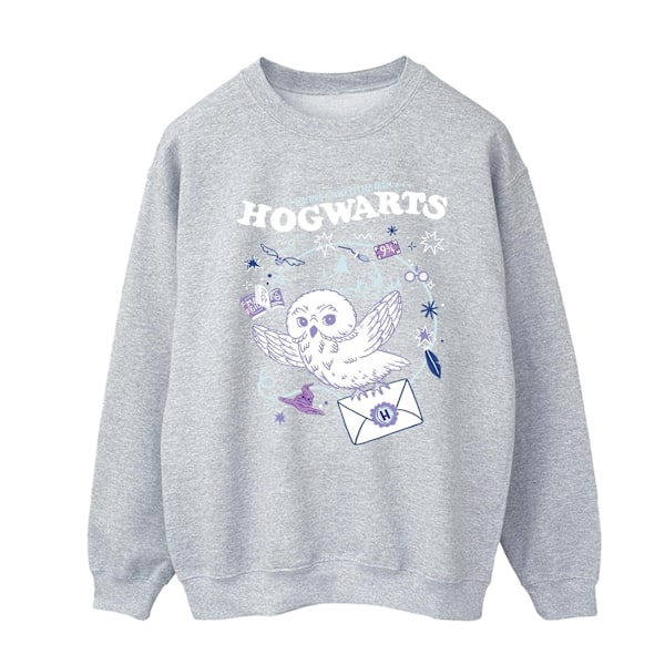 Harry Potter Herr Sweatshirt med uggla och brev från Hogwarts 3XL Sport Sports Grey 3XL