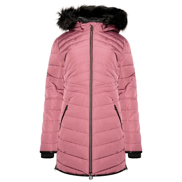 Dare 2B Dam/Dam Striking III Lång Vadderad Jacka 12 Mesa Rose 12 UK