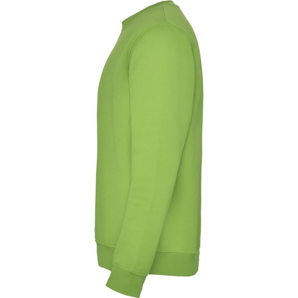 Roly Unisex Vuxen Clasica Crew Neck Sweatshirt XL Oasis Grön Oasis Green XL