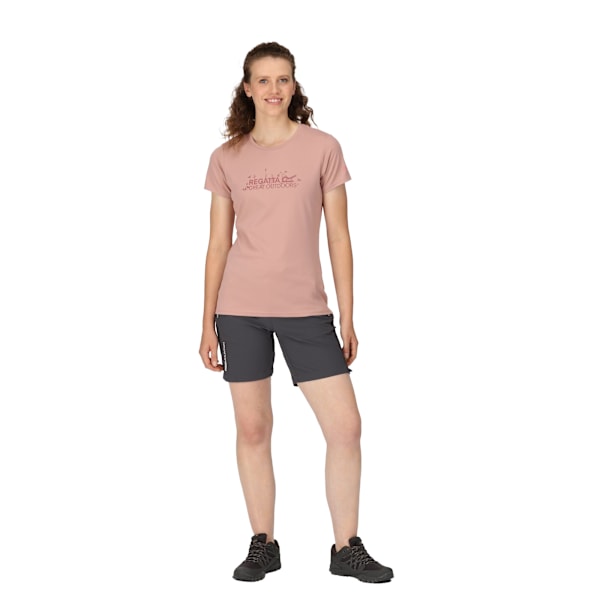 Regatta Womens/Ladies Fingal VII Logo T-Shirt 20 UK Dusky Rose Dusky Rose 20 UK