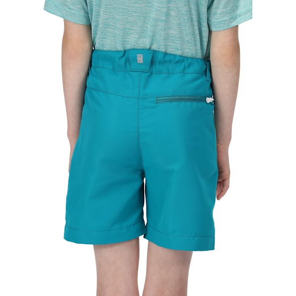 Regatta Sorcer II Bergshorts för barn/ungdomar 14 år Ename Enamel/Turquoise 14 Years