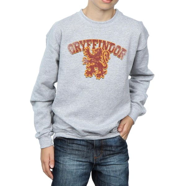Harry Potter Pojkar Gryffindor Sport Emblem Sweatshirt 7-8 År Sports Grey 7-8 Years