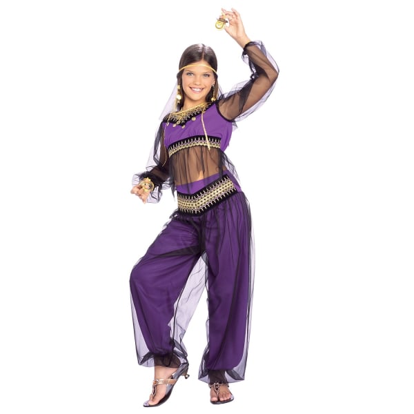 Bristol Novelty Barn/Barn Harem Princess Costume M Lila/ Purple/Black M