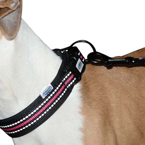 Weatherbeeta Reflex Hundhalsband L Svart/Rosa Black/Pink L