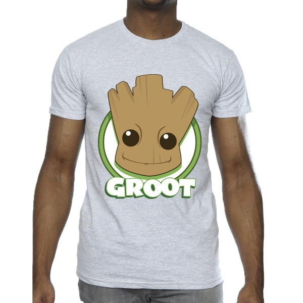 Guardians Of The Galaxy Herr Groot Badge T-Shirt 4XL Sports Grå Sports Grey 4XL