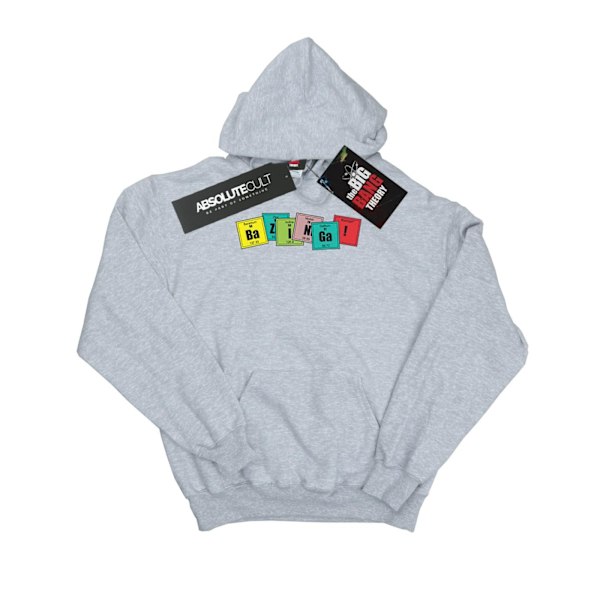 The Big Bang Theory Girls Bazinga Elements Hoodie 7-8 år Spo Sports Grey 7-8 Years