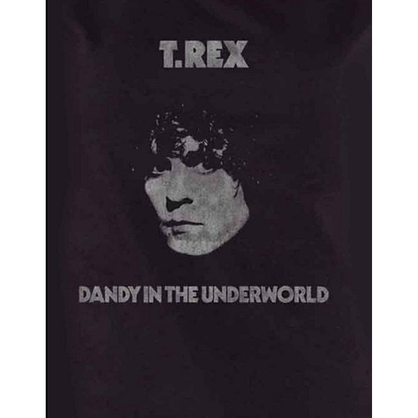 T-Rex Dam/Dandy T-shirt XXL Svart Black XXL