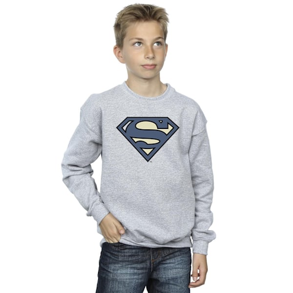 DC Comics Pojkar Superman Indigo Blå Logotyp Sweatshirt 5-6 År S Sports Grey 5-6 Years