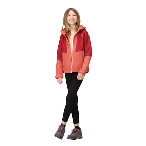 Regatta Haydenbury Softshelljacka för barn 5-6 år M Mineral Red/Rumba Red 5-6 Years